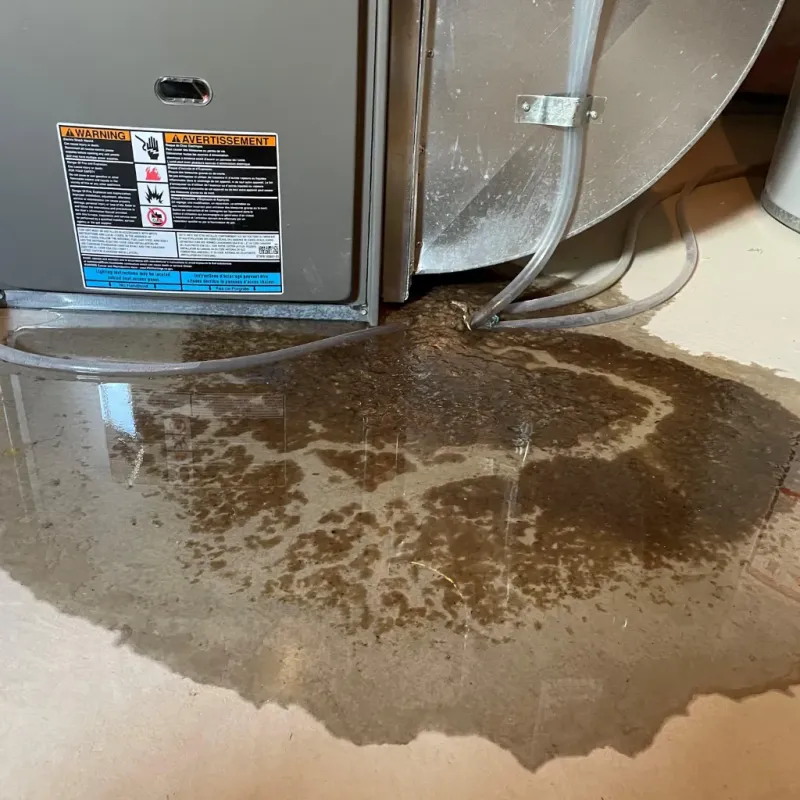 Appliance Leak Cleanup in Fort Hancock, TX