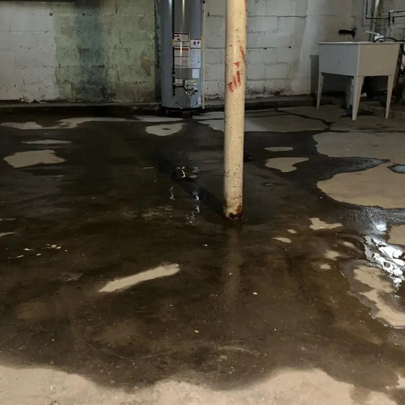 Emergency Water Extraction And Removal in Fort Hancock, TX